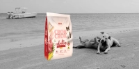 Aidez a nourrir les chiens de plage /help feed the beach dogs /  !
