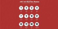 Pickering red sox 10u aa team fundraiser