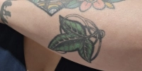 Tattoo fund!